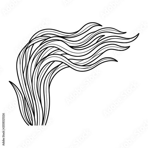 Seaweed Line Art Coloring Page Isolated on White Background
