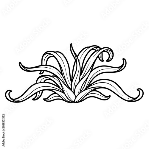 Seaweed Line Art Coloring Page Isolated on White Background