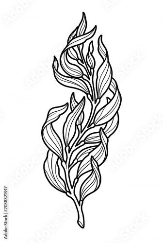 Seaweed Line Art Coloring Page Isolated on White Background
