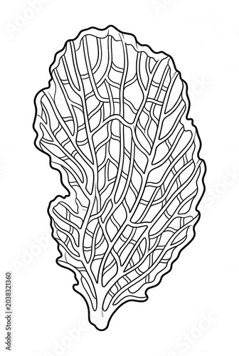 Sea Fan Coral Line Art Coloring Page Isolated on White Background