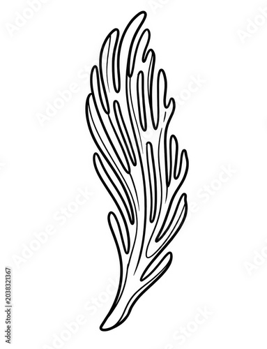 Soft Coral Branch Line Art Coloring Page Isolated on White Background