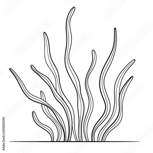 Seaweed Line Art Coloring Page Isolated on White Background