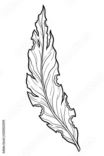Seaweed Kelp Leaf Line Art Coloring Page Isolated on White Background