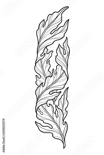 Seaweed Line Art Coloring Page Isolated on White Background