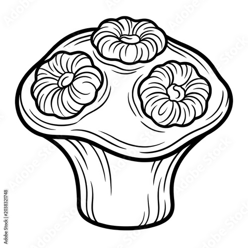 Mushroom Coral Polyps Line Art Coloring Page Isolated on White Background