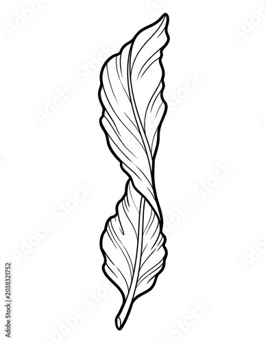 Seaweed Kelp Leaf Line Art Coloring Page Isolated on White Background