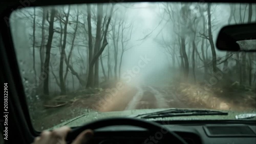Misty Forest Path Viewed Through Vehicle Windshield