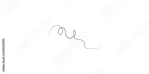 A single strand of gray hair with a slight curl.
