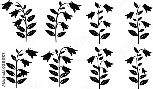 Bild auf Leinwand Elegant bellflower silhouette illustrations in multiple variations showing botan