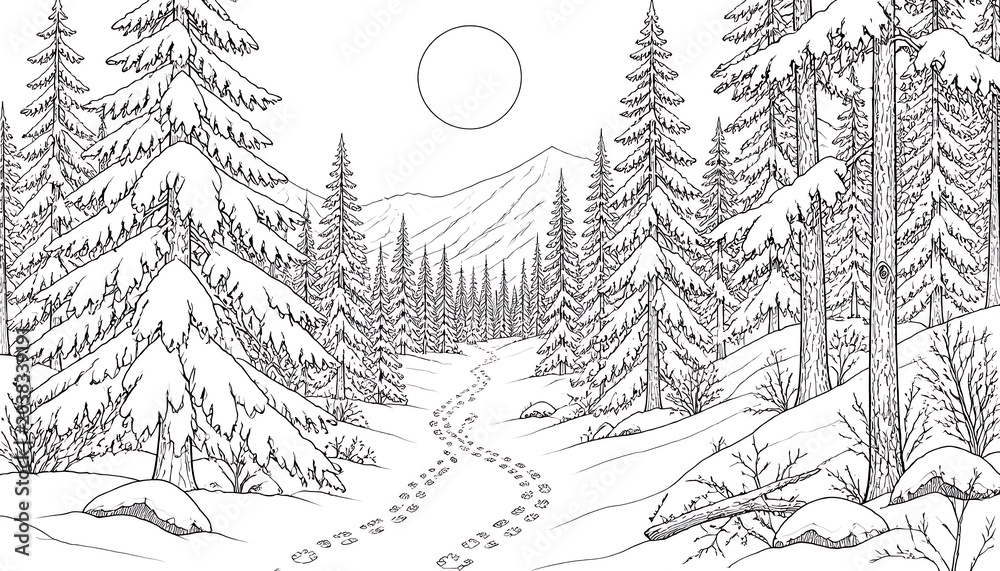 Obraz premium Detailed Snow-Covered Pine Forest Line Art Coloring Page 