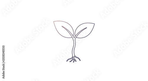 Small plant sprout with leaves growing.