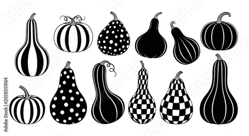 Tableau sur toile A collection of black and white patterned pumpkins and gourds.