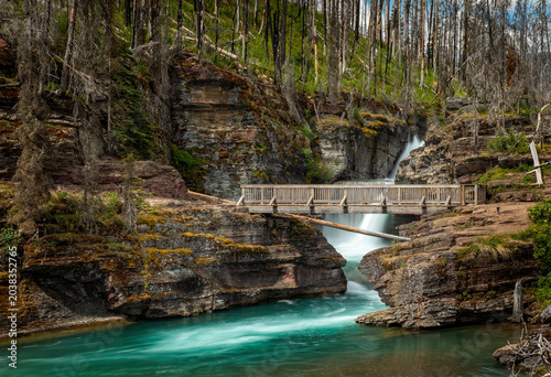 Baring Falls cascading through a narrow rocky gorge beneath a wooden bridge in the wild forest landscape of Glacier National Park