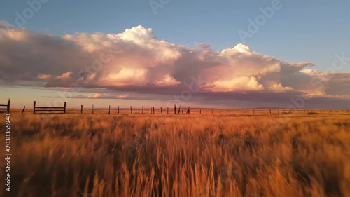 Golden prairie grass under dramatic sunset clouds with wooden fence line