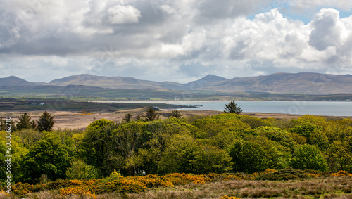 Φωτογραφία Scenic Scottish landscape featuring a tranquil bay with dramatic mountains in the background and vibrant yellow gorse bushes