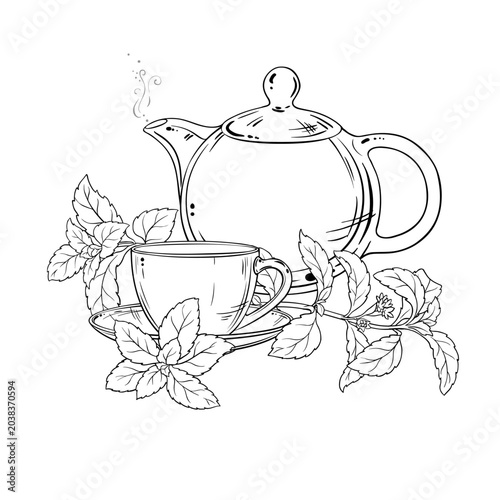 Stevia Tea in Teapot aroma beverage Outline Illustration. Vector isolated for Design and Decoration for Cafeteria, Posters, Banners, Cards.