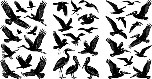 Canvas Print Flying Coastal Bird Silhouette Collection Featuring Pelicans, Seagulls, Cranes,