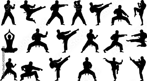 Tableau sur toile Martial Arts Silhouette Collection Featuring Karate, Taekwondo, and Kung Fu Acti