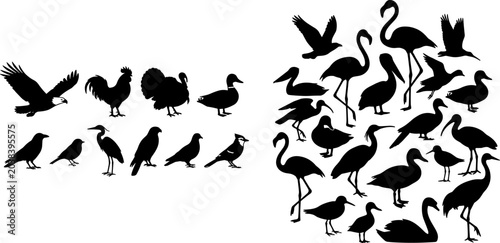 Fotografi Mixed Bird Silhouette Collection Featuring Flamingos, Pelicans, Eagles, Ducks, a