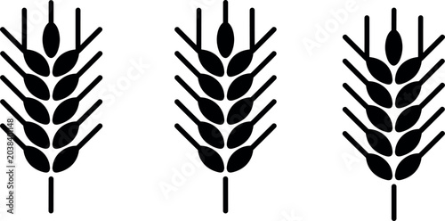 Bild auf Leinwand Black wheat ears silhouette icons set for organic agriculture bread bakery logo