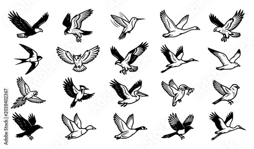 Photos Flying Bird Silhouette Collection with Swallows, Doves and Wild Birds Vector Set
