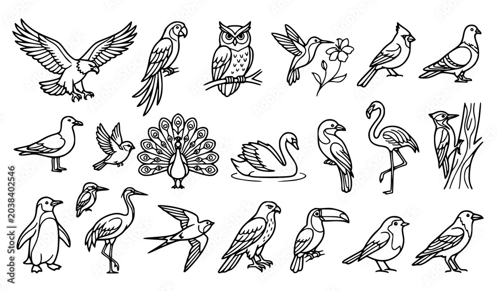 Obraz premium Detailed Wild Bird Illustration Collection in Decorative Line Art Vector Style