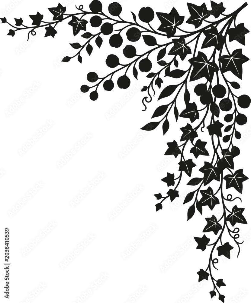 Fototapeta premium Elegant black ivy vine decorative border design with leaves and berries