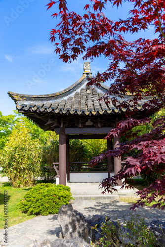 Front view of a beautiful pagoda pavilion against the blue sky and green trees and red maple in Chinese garden in a public park