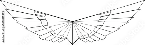 dove with outstretched wings line art vector illustration on transparent background