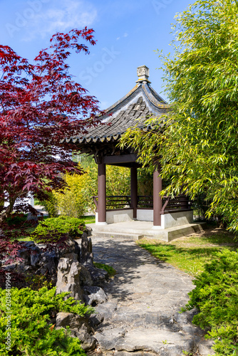 Angle view of a beautiful pagoda pavilion against the blue sky and green trees and red maple in Chinese garden in a public park