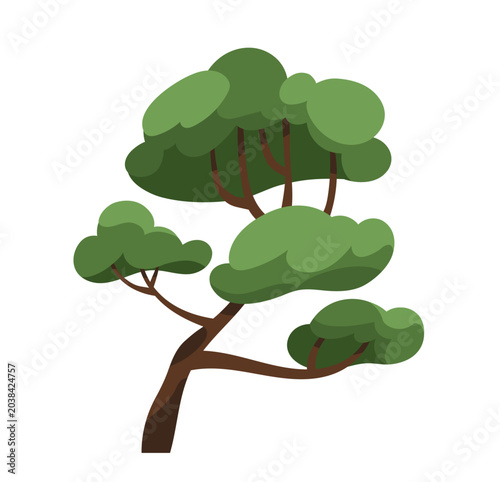 Green tree, tall trunk, leaves on branches and canopy clusters. Summer forest...