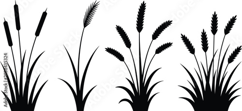 Billede på lærred Grass and reed plant silhouettes with cattails, feathery stems, wheat clusters,