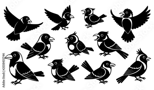 Cuadro en lienzo Creative black songbird silhouette vector collection with large beak flying bird