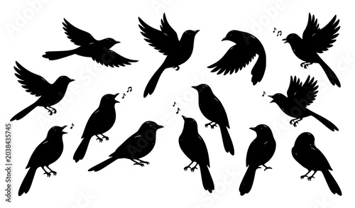 Cuadro en lienzo Black singing bird silhouette vector set with bright beak flying songbird illust