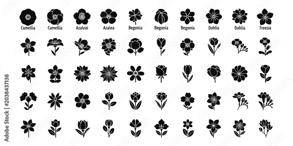 Fototapeta premium Vector Set of 50 Botanical Flower Silhouette Icons; Minimalist Black Floral Graphics featuring Camellia, Azalea, Begonia, Dahlia, Freesia, Rose, and Tulip for Professional Graphic Design