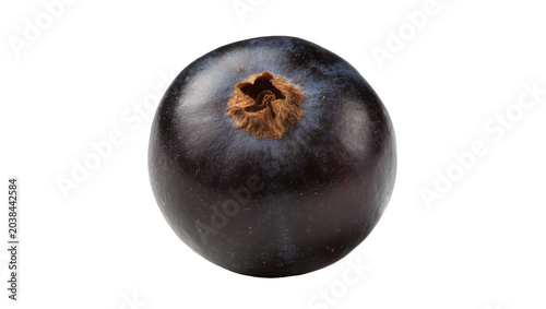 Foto Single dark purple berry with brown calyx