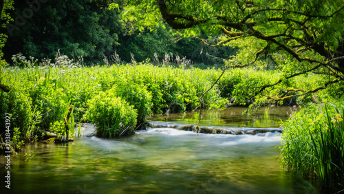 Derbyshire trout stream in May
