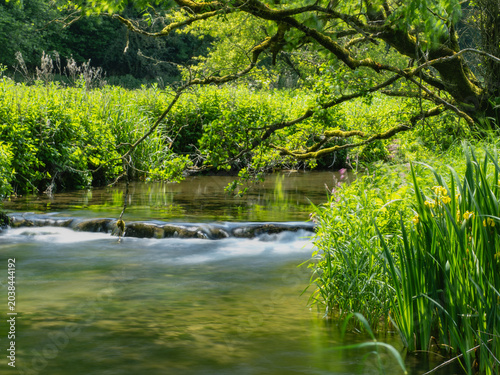 Derbyshire trout stream in May