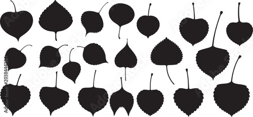 Schilderij op canvas Aspen or Poplar tree leaves silhouette set