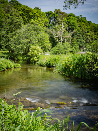 Derbyshire trout stream in May