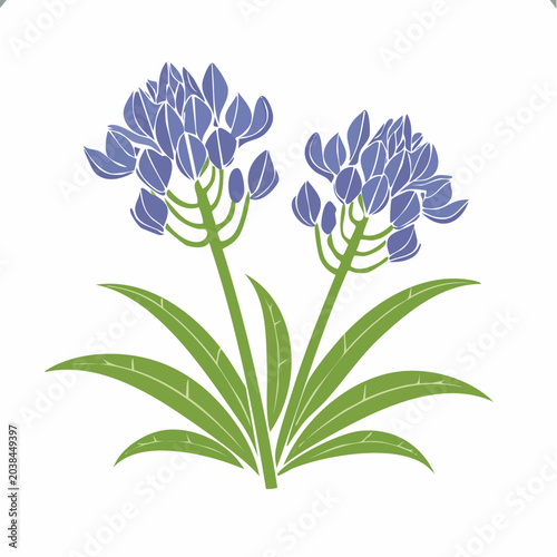 Stylized Blue Agapanthus Flowers with Green Leaves