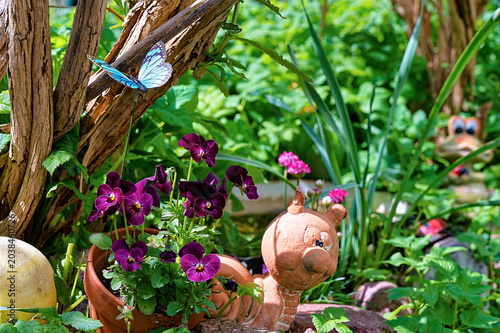 View of a somewhat overgrown garden that serves as a functioning ecosystem.