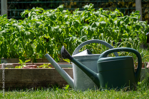 Garden watering can rests on lawn beside wooden planters
