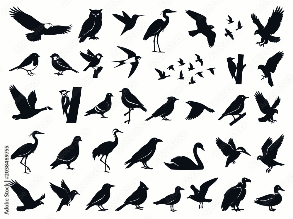 Fototapeta premium Set of various bird silhouettes