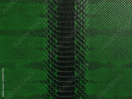 Foto Luxury Green Python Leather Texture Seamless Abstract Background