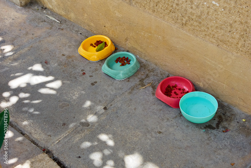 Tableau sur toile Colored feeding bowl for stray cats.