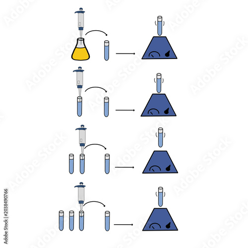 Fotografie Serial dilution procedure in microbiology laboratory, step by step sample diluti
