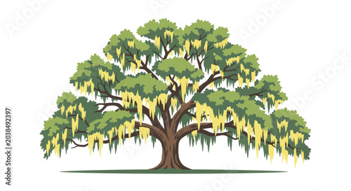 Majestic Live Oak Tree with Spanish Moss, Southern Charm Illustration
