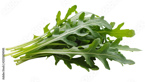 Foto Fresh green arugula leaves bunch with stems