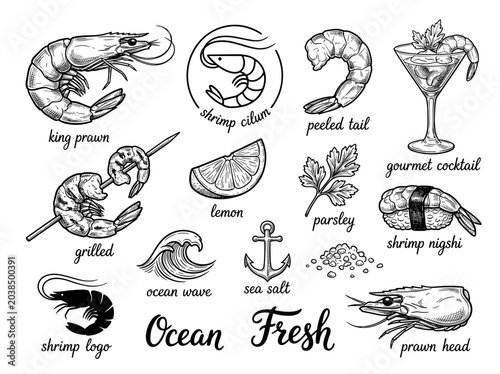 Hand drawn shrimp logo and seafood sketch, black ink prawn and sushi illustration, isolated on white background